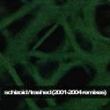Schizoid (CAN) : Trashed (2001-2004 Remixes)